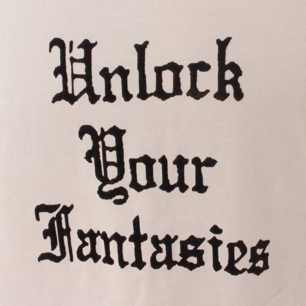 セリーヌ(Celine) 19AW コーディ・デフランコ Tシャツ UNLOCK YOUR FANTASIES エディ ホワイト L 中古 通販  retro レトロ