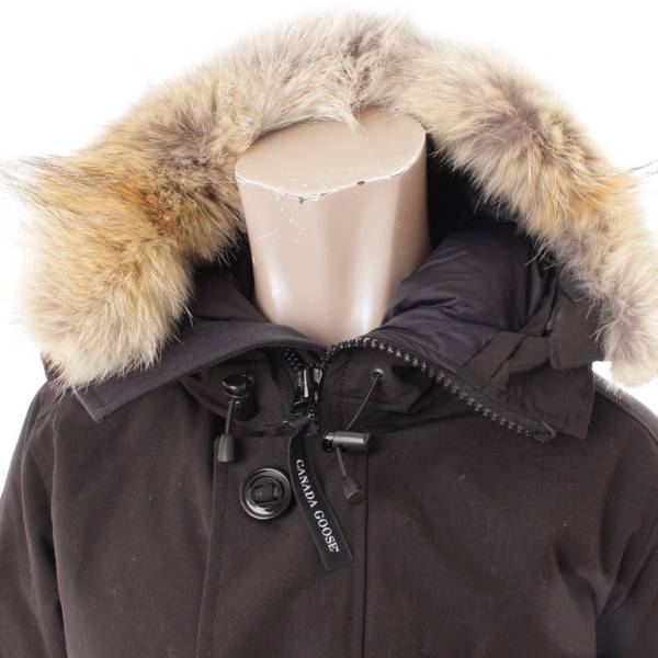 カナダグース(CANADA GOOSE) メンズ 20FW CHATEAU PARKA FF ダウン