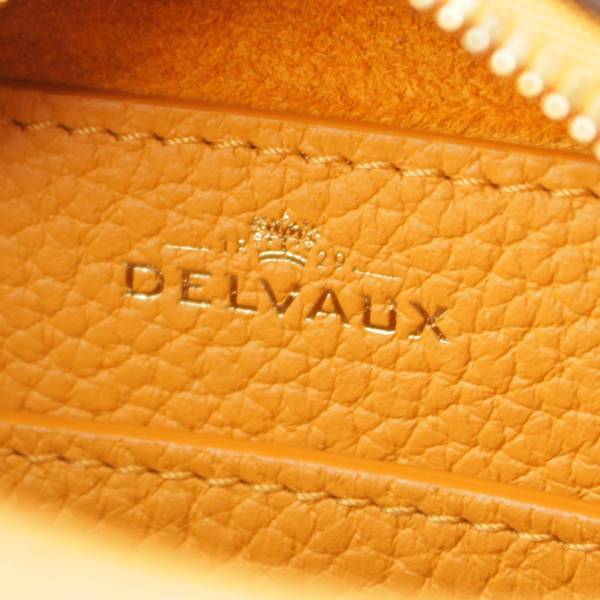 デルヴォー Delvaux クールボックス ナノ トリヨンレザー 2way