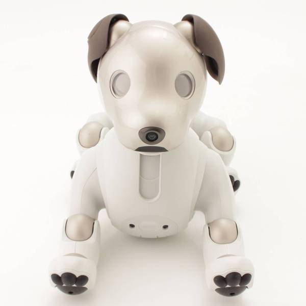 その他() ソニー SONY アイボ aibo 犬 ペットロボット ERS-1000 