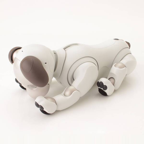 その他() ソニー アイボ aibo 犬 ペットロボット ERS-1000 ホワイト