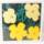 「花」（シリアル無し）黄色×緑 アンディ・ウォホール 新刷リトグラフ