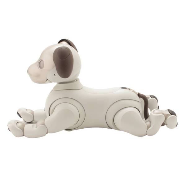 SONY　アイボ aibo 犬 ペットロボット ERS-1000 ホワイト