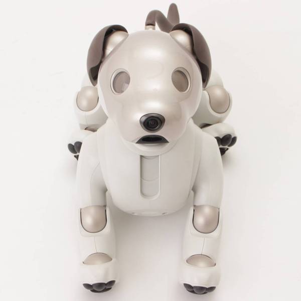 ソニー(SONY) アイボ aibo 犬 ペットロボット ERS-1000 ホワイト 中古