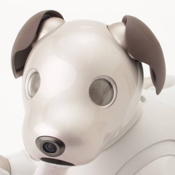ソニー(SONY) アイボ aibo 犬 ペットロボット ERS-1000 ホワイト 中古 
