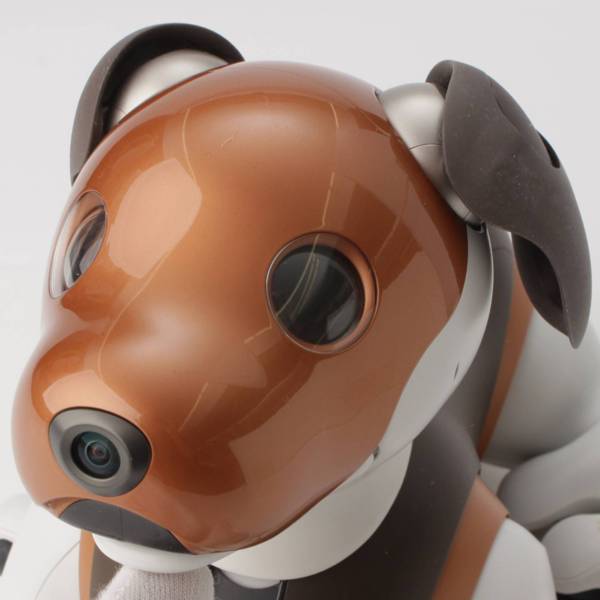 ソニー(SONY) アイボ aibo 犬 ペットロボット ERS-1000 限定 チョコ 