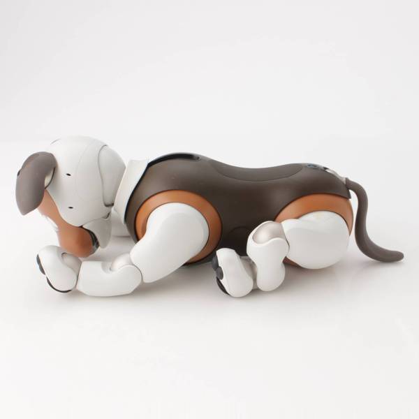 ソニー(SONY) アイボ aibo 犬 ペットロボット ERS-1000 限定 チョコ