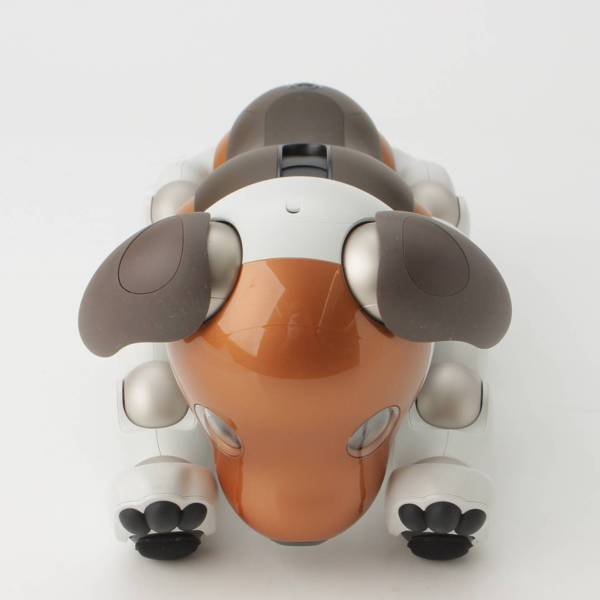 ソニー(SONY) アイボ aibo 犬 ペットロボット ERS-1000 限定 チョコ 