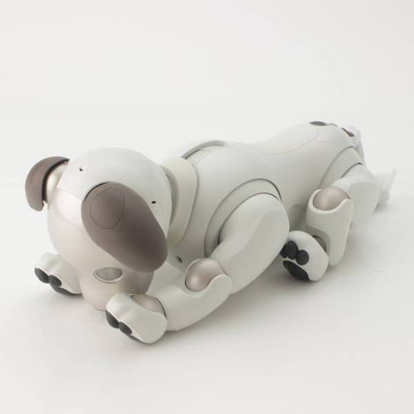 SONY aibo アイボ ERS-1000 - キャラクターグッズ