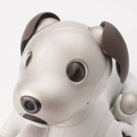 aibo 犬型 バーチャル ペットロボット ERS-1000 ベーシックホワイト